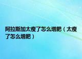 阿拉斯加太瘦了怎么增肥（太瘦了怎么增肥）