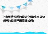 小宝贝快快睡的歌词介绍(小宝贝快快睡的歌词详细情况如何)