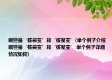哪些是‘核裂变’和‘核聚变’(举个例子介绍 哪些是‘核裂变’和‘核聚变’ 举个例子详细情况如何)