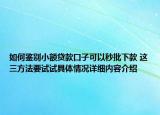 如何鉴别小额贷款口子可以秒批下款 这三方法要试试具体情况详细内容介绍