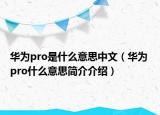 华为pro是什么意思中文（华为 pro什么意思简介介绍）
