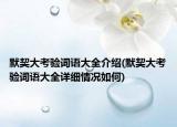 默契大考验词语大全介绍(默契大考验词语大全详细情况如何)