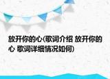 放开你的心(歌词介绍 放开你的心 歌词详细情况如何)