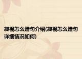 凝视怎么造句介绍(凝视怎么造句详细情况如何)