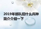 2019年部队招什么兵种简介介绍一下