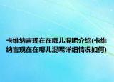 卡维纳吉现在在哪儿混呢介绍(卡维纳吉现在在哪儿混呢详细情况如何)