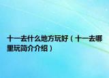 十一去什么地方玩好（十一去哪里玩简介介绍）