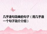几乎造句简单的句子（用几乎造一个句子简介介绍）