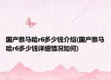 国产雅马哈r6多少钱介绍(国产雅马哈r6多少钱详细情况如何)
