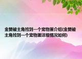 金赞被主角捡到一个宠物蛋介绍(金赞被主角捡到一个宠物蛋详细情况如何)