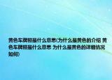 黄色车牌照是什么意思(为什么是黄色的介绍 黄色车牌照是什么意思 为什么是黄色的详细情况如何)