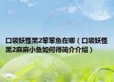 口袋妖怪黑2笨笨鱼在哪（口袋妖怪黑2麻麻小鱼如何得简介介绍）