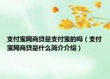 支付宝网商贷是支付宝的吗（支付宝网商贷是什么简介介绍）