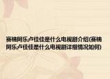 赛楠阿乐卢佳佳是什么电视剧介绍(赛楠阿乐卢佳佳是什么电视剧详细情况如何)