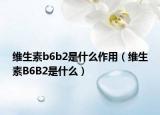 维生素b6b2是什么作用（维生素B6B2是什么）