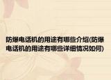 防爆电话机的用途有哪些介绍(防爆电话机的用途有哪些详细情况如何)