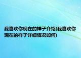 我喜欢你现在的样子介绍(我喜欢你现在的样子详细情况如何)