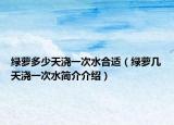 绿萝多少天浇一次水合适（绿萝几天浇一次水简介介绍）