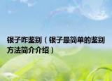 银子咋鉴别（银子最简单的鉴别方法简介介绍）