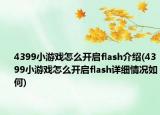 4399小游戏怎么开启flash介绍(4399小游戏怎么开启flash详细情况如何)