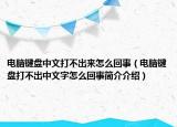 电脑键盘中文打不出来怎么回事（电脑键盘打不出中文字怎么回事简介介绍）