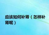 应该如何补肾（怎样补肾呢）