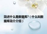 简述什么是数据库?（什么叫数据库简介介绍）