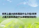 世界上最大的东西是什么介绍(世界上最大的东西是什么详细情况如何)