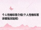 个人性格标签介绍(个人性格标签详细情况如何)