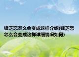 锋芝恋怎么会变成这样介绍(锋芝恋怎么会变成这样详细情况如何)