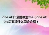 one of 什么时候加the（one of the后面加什么简介介绍）