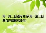 用一清二白造句介绍(用一清二白造句详细情况如何)