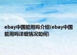 ebay中国能用吗介绍(ebay中国能用吗详细情况如何)