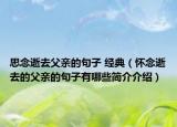 思念逝去父亲的句子 经典（怀念逝去的父亲的句子有哪些简介介绍）