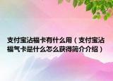 支付宝沾福卡有什么用（支付宝沾福气卡是什么怎么获得简介介绍）