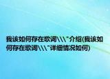 我该如何存在歌词\