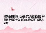 柳絮是柳树的什么(是怎么形成的介绍 柳絮是柳树的什么 是怎么形成的详细情况如何)
