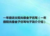 一年级语文阳光像金子仿写（一年级阳光像金子仿写句子简介介绍）