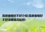 森麻音响好不好介绍(森麻音响好不好详细情况如何)
