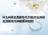 什么叫非主流新生代介绍(什么叫非主流新生代详细情况如何)