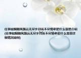 往事如烟随风飘远无尽岁月诉不尽情牵是什么意思介绍(往事如烟随风飘远无尽岁月诉不尽情牵是什么意思详细情况如何)