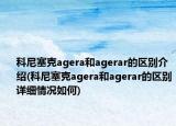 科尼塞克agera和agerar的区别介绍(科尼塞克agera和agerar的区别详细情况如何)