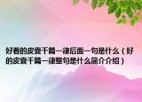 好看的皮囊千篇一律后面一句是什么（好的皮囊千篇一律整句是什么简介介绍）