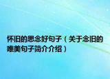 怀旧的思念好句子（关于念旧的唯美句子简介介绍）