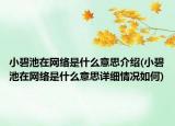 小碧池在网络是什么意思介绍(小碧池在网络是什么意思详细情况如何)
