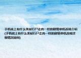手机端上有什么类似行尸走肉一样的剧情单机游戏介绍(手机端上有什么类似行尸走肉一样的剧情单机游戏详细情况如何)