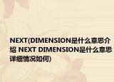 NEXT(DIMENSION是什么意思介绍 NEXT DIMENSION是什么意思详细情况如何)