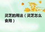 灵芝的用法（灵芝怎么食用）