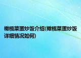 橄榄菜蛋炒饭介绍(橄榄菜蛋炒饭详细情况如何)