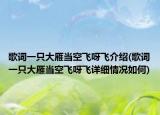 歌词一只大雁当空飞呀飞介绍(歌词一只大雁当空飞呀飞详细情况如何)